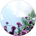 marielle lanchais profile picture